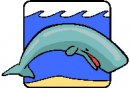 animali/balena/clipart_animali_balena_07.jpg