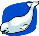 animali/balena/clipart_animali_balena_22.jpg