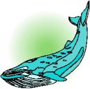 animali/balena/clipart_animali_balena_25.jpg