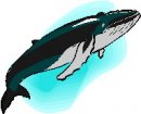 animali/balena/clipart_animali_balena_27.jpg