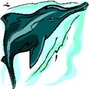 animali/balena/clipart_animali_balena_30.jpg