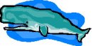 animali/balena/clipart_animali_balena_31.jpg