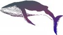 animali/balena/clipart_animali_balena_33.jpg