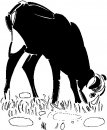 animali/bianco_nero/clipart_animali_bianco_nero_00.jpg