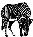 animali/bianco_nero/clipart_animali_bianco_nero_104.jpg