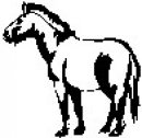 animali/bianco_nero/clipart_animali_bianco_nero_105.jpg