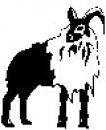 animali/bianco_nero/clipart_animali_bianco_nero_119.jpg