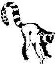 animali/bianco_nero/clipart_animali_bianco_nero_131.jpg