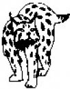 animali/bianco_nero/clipart_animali_bianco_nero_142.jpg