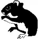 animali/bianco_nero/clipart_animali_bianco_nero_151.jpg