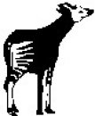 animali/bianco_nero/clipart_animali_bianco_nero_164.jpg