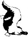 animali/bianco_nero/clipart_animali_bianco_nero_168.jpg