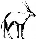 animali/bianco_nero/clipart_animali_bianco_nero_170.jpg