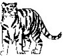 animali/bianco_nero/clipart_animali_bianco_nero_178.jpg