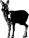 animali/bianco_nero/clipart_animali_bianco_nero_20.jpg