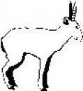 animali/bianco_nero/clipart_animali_bianco_nero_202.jpg