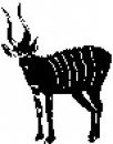 animali/bianco_nero/clipart_animali_bianco_nero_217.jpg