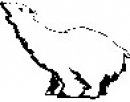 animali/bianco_nero/clipart_animali_bianco_nero_219.jpg