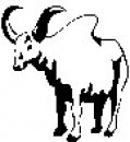 animali/bianco_nero/clipart_animali_bianco_nero_229.jpg