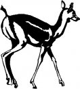 animali/bianco_nero/clipart_animali_bianco_nero_23.jpg