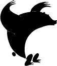 animali/bianco_nero/clipart_animali_bianco_nero_248.jpg