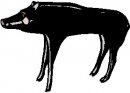 animali/bianco_nero/clipart_animali_bianco_nero_30.jpg