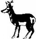 animali/bianco_nero/clipart_animali_bianco_nero_38.jpg