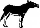 animali/bianco_nero/clipart_animali_bianco_nero_41.jpg