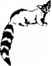 animali/bianco_nero/clipart_animali_bianco_nero_44.jpg