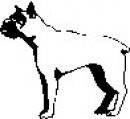 animali/bianco_nero/clipart_animali_bianco_nero_49.jpg