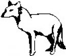 animali/bianco_nero/clipart_animali_bianco_nero_56.jpg