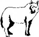 animali/bianco_nero/clipart_animali_bianco_nero_58.jpg