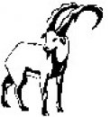 animali/bianco_nero/clipart_animali_bianco_nero_60.jpg