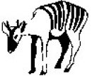 animali/bianco_nero/clipart_animali_bianco_nero_67.jpg