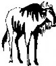 animali/bianco_nero/clipart_animali_bianco_nero_85.jpg