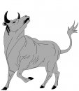 animali/bue_toro/clipart_bue_toro01.jpg