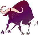 animali/bue_toro/clipart_bue_toro04.jpg