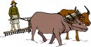 animali/bue_toro/clipart_bue_toro08.jpg