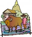 animali/bue_toro/clipart_bue_toro10.jpg