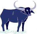 animali/bue_toro/clipart_bue_toro13.jpg