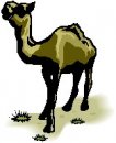 animali/cammello_dromedario/clipart_cammelli_dromedari_02.jpg