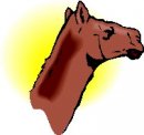 animali/cammello_dromedario/clipart_cammelli_dromedari_04.jpg