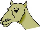 animali/cammello_dromedario/clipart_cammelli_dromedari_24.jpg