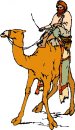 animali/cammello_dromedario/clipart_cammelli_dromedari_48.jpg