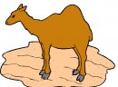 animali/cammello_dromedario/clipart_cammelli_dromedari_61.jpg