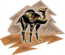 animali/cammello_dromedario/clipart_cammelli_dromedari_83.jpg