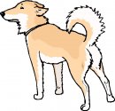 animali/cane/clipart_cani_04.jpg