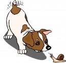 animali/cane/clipart_cani_07.jpg