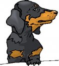 animali/cane/clipart_cani_11.jpg