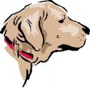 animali/cane/clipart_cani_132.jpg